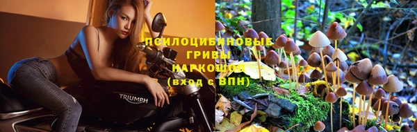 прущий лед Абдулино