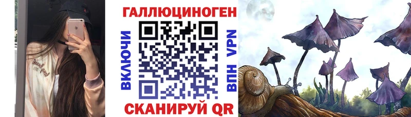 kraken зеркало  Опочка  Псилоцибиновые грибы Cubensis 